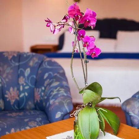 维拉梅蒂特兰酒店 4*