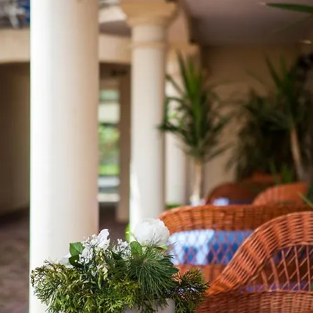 维拉梅蒂特兰酒店 Hévíz