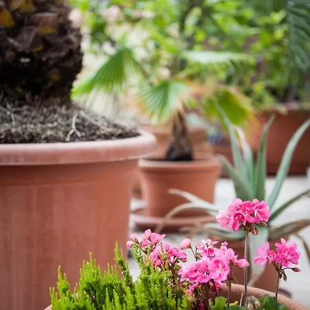 게스트하우스 Mediterran