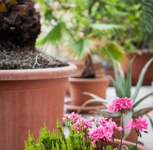 Vendégház Mediterran